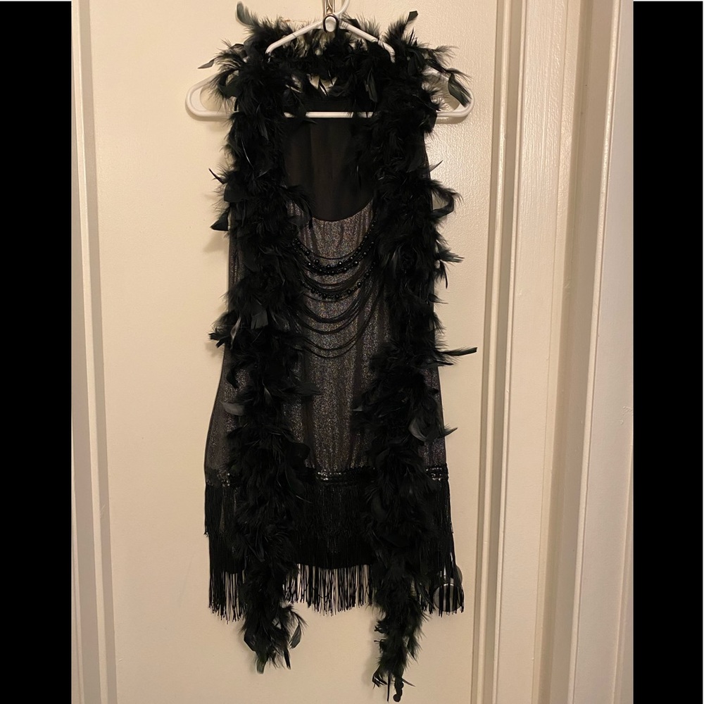Dreamgirl 1920’s Flapper Costume Gatsby